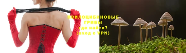 соль ск Лабытнанги