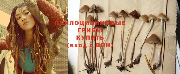 стафф Ладушкин