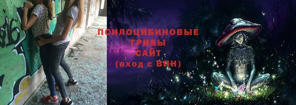 соль ск Лабытнанги
