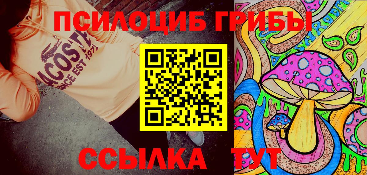 Мариинск  Галлюциногенные грибы Magic Shrooms  купить   Вход с VPN 