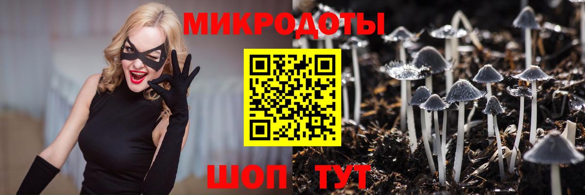 Галлюциногенные грибы Psilocybe Мариинск