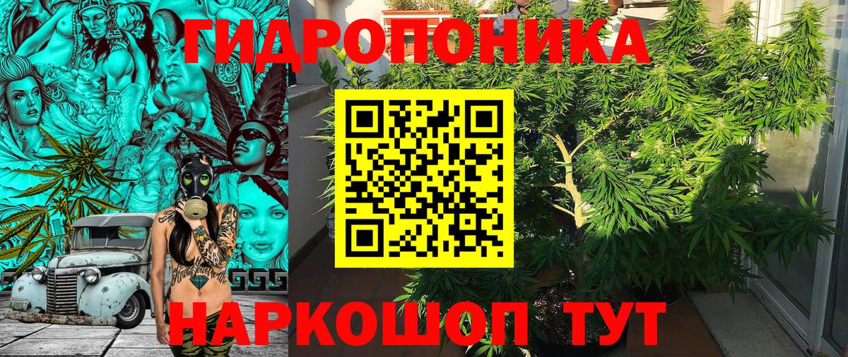 Конопля Amnesia  Бошки Шишки THC 21%  Мариинск  Шишки марихуана ГИДРОПОН 